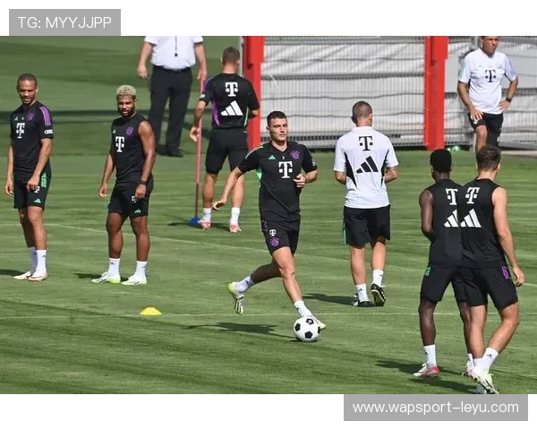 帕瓦尔：法国后卫再度亮相，表现稳健助力球队防线