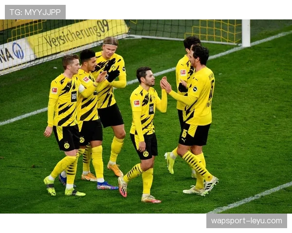 多特蒙德阵容深度解析：状态回暖引关注，新赛季表现值得期待